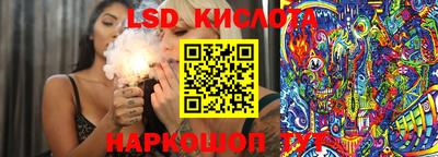 СК Ярославль