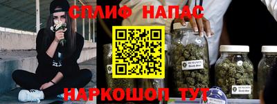 СК Ярославль