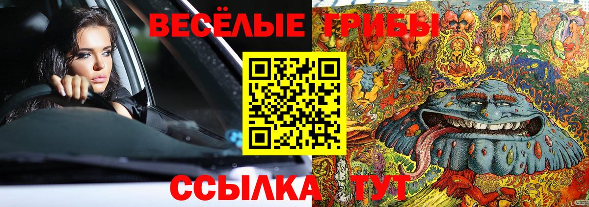 Галлюциногенные грибы мицелий Кропоткин
