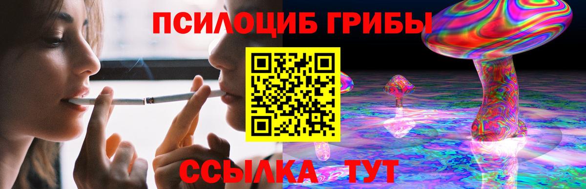 Псилоцибиновые грибы Psilocybine cubensis  Псилоцибиновые грибы GOLDEN TEACHER  Кропоткин  купить   Вход с VPN 